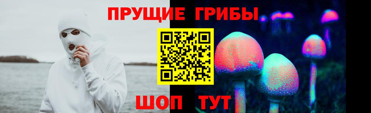 Михайловск  Галлюциногенные грибы Psilocybe  Вход с VPN 